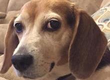 FINANCING & RENT TO OWN PROGRAMS AVAILBLE