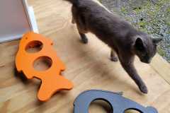Pet Products